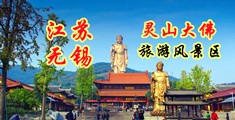 wwwww欧美性爱江苏无锡灵山大佛旅游风景区